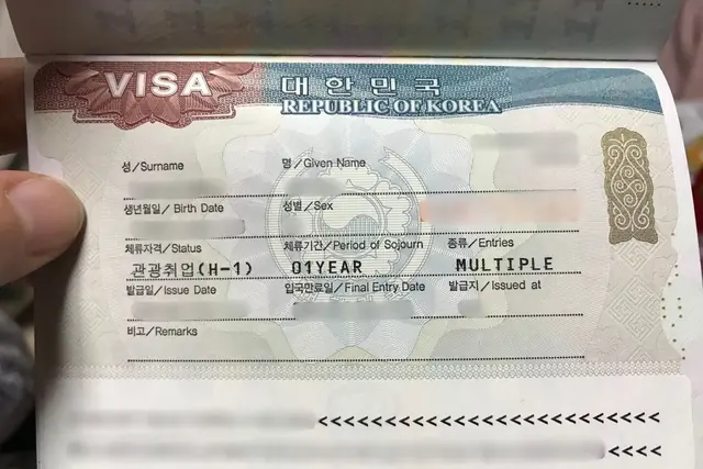 한국 워킹홀리데이 조건, H-1 비자 나이